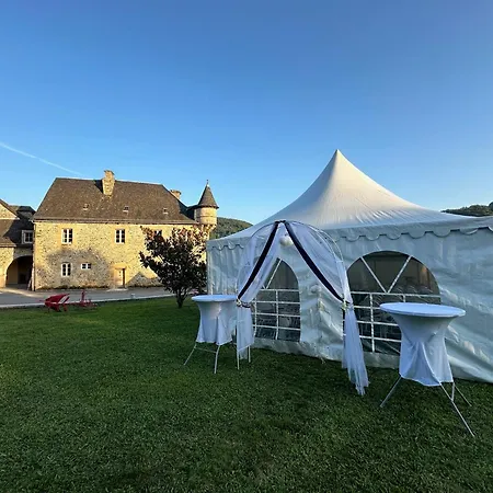 Hotel Château De La Falque, The Originals Relais 4*