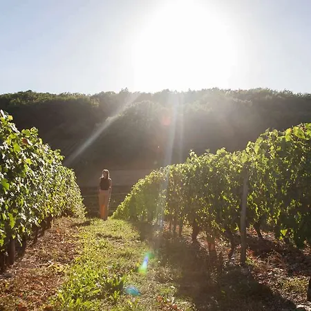 Hotel Chateau De La Falque, The Originals Relais
